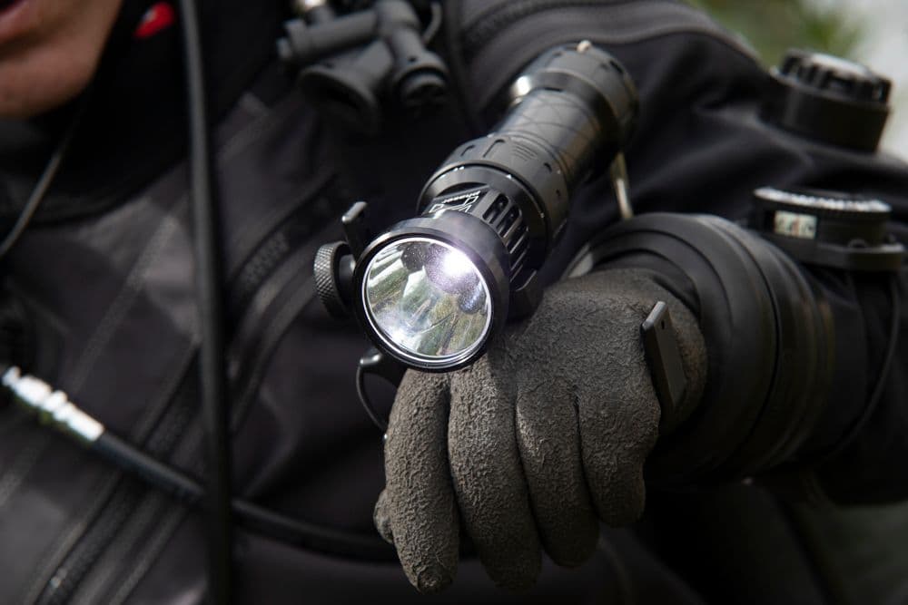 Halcyon Phaser Light