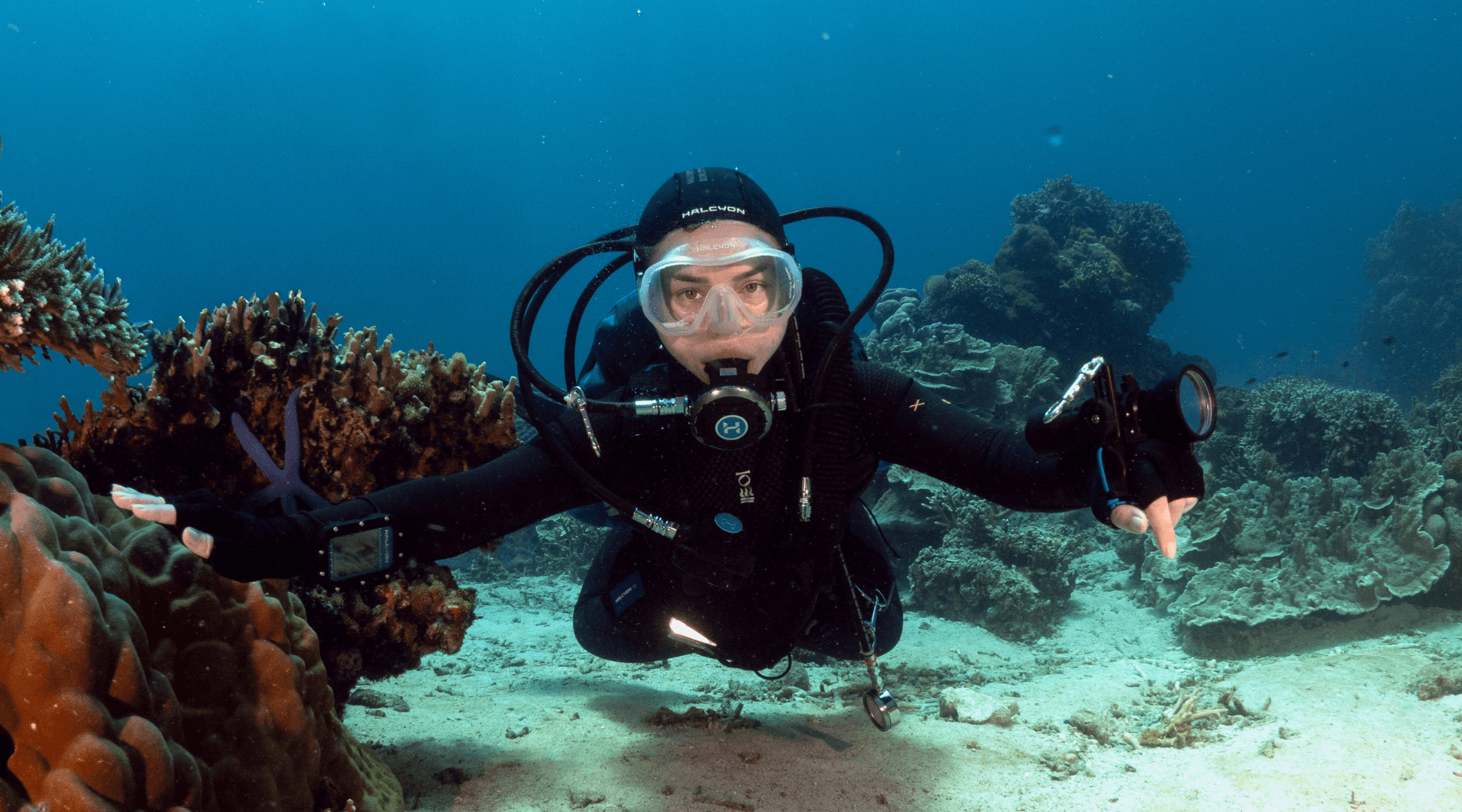 Halcyon diver underwater