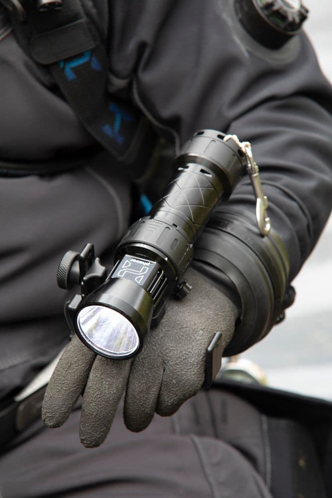 Halcyon Phaser Light