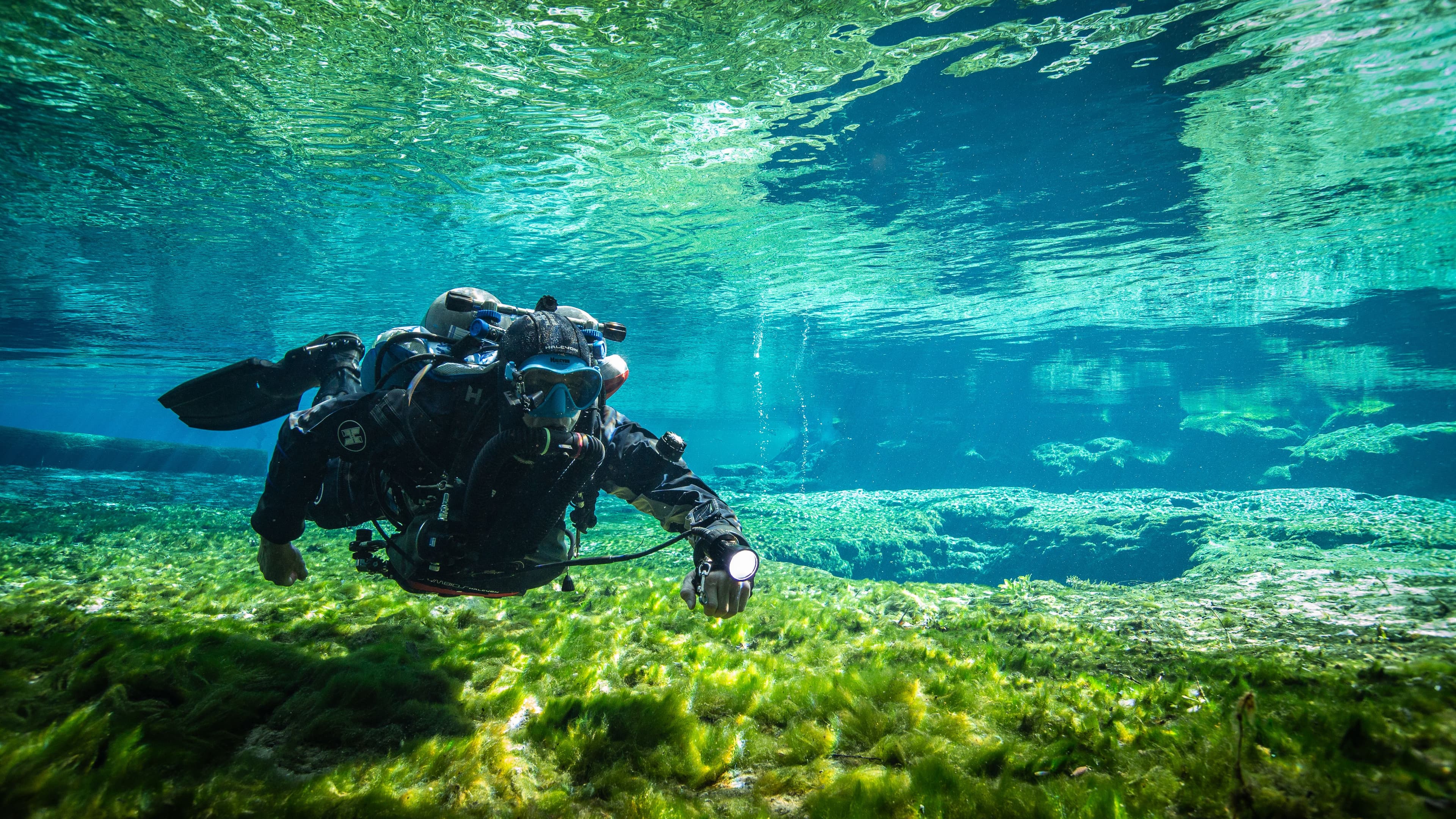halcyon diver
