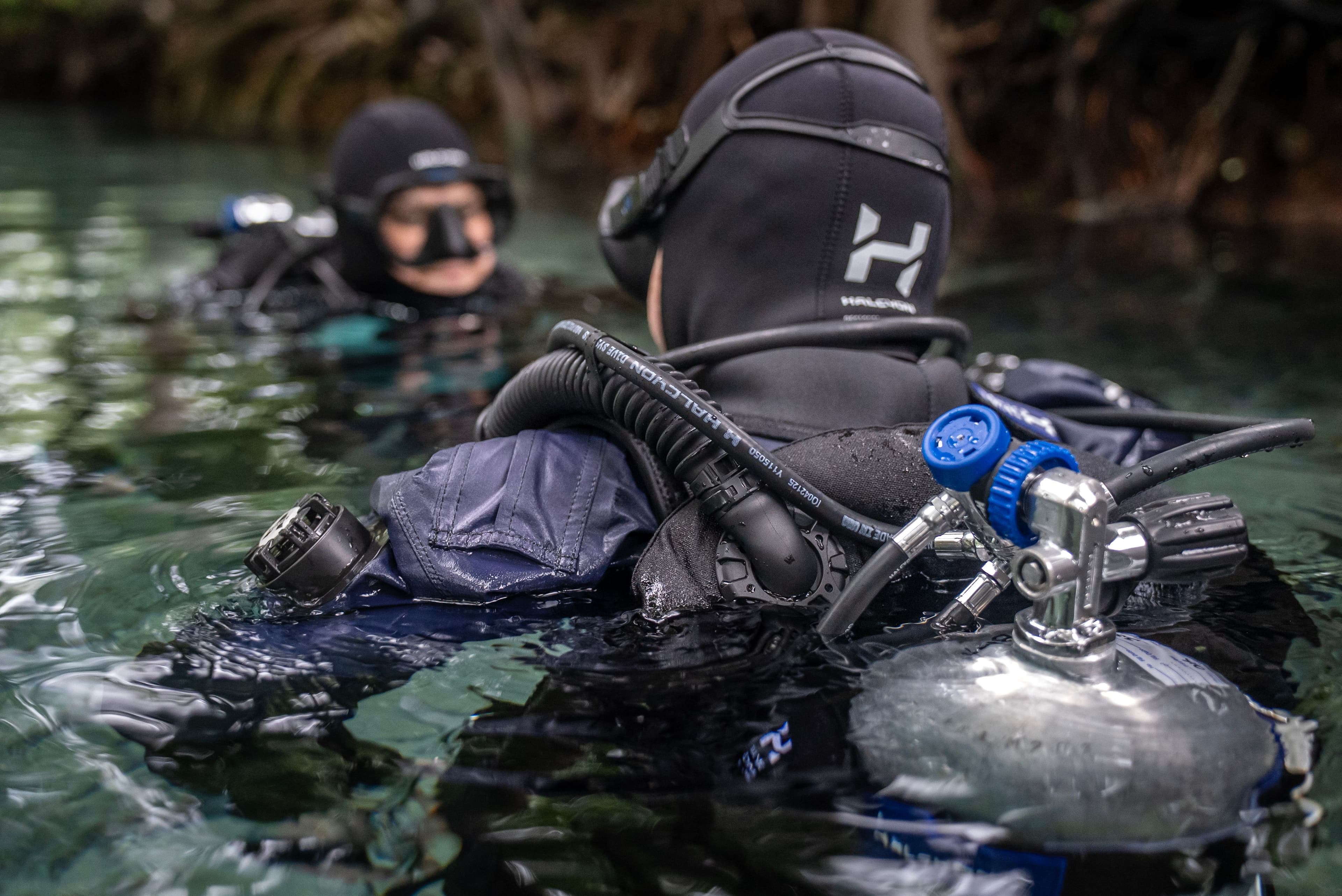 halcyon diver